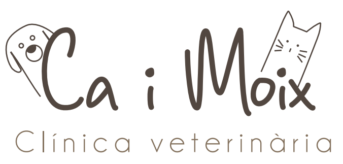 logo_firma